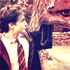 Harry and Buckbeak