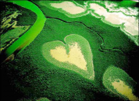 Green Heart Field