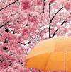 Click to view original image
