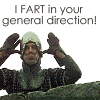 I fart in your general direction!!