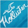 Hollister