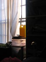 window light