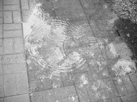 Rain b&w