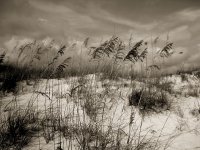 Gathering storm