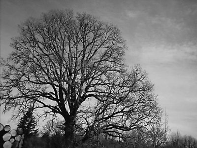 Click to view original image